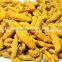 Polished Turmeric Finger for USA Buyers