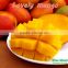 Best Price Mango