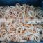 Frozen Squid Ring