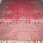 BEAUTIFUL RED WITH JAMAWAAR AND DOUBLE SIDE SHAWL