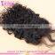 Hot Sell 2015 New Products Virgin Hair Silk Base Free Part Closure