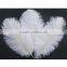 High-quality ostrich feathers 6-8 inch 15-20 cm wedding decoration