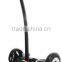 top sale smart 10 inch TT 2 wheel self balancing electric scooter