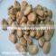 Good Quality Hot Sale Dried Broad Beans