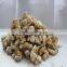 Fresh Natural Herbs Dried Ginger