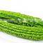 100% Pure Standardized for Bitter Melon 10% Charantin from GMP manufacturer