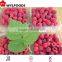 IQF frozen raspberry