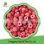 High Quality Frozen Raspberry Crumble and Broken Raspberry