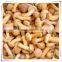 from china /best quality/100% natural health food mushroom