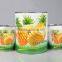High quality Canned pineapple tidbits in light syrup