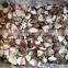 2016 Crop IQF Shiitake A Quarter