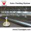 Automatic Poultry House Animal feeding line for broiler chicken Poultry equipment in Animal feeding system