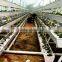 hydroponic gutter for strawberry