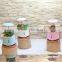 Best seller creative Promote plant growth LED grow light ,