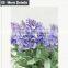 Valentine's day lavender wholesale artificial flowers for wedding table decoration
