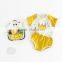 2017 Summer Infant Cotton Clothing Set 0-2 Years Baby Casual Sport Suit