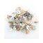 Natural Shell Buttons Color Japan Mother of Pearl MOP Round Shell Sewing Buttons 2 Hole Button 10mm