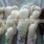 100% cotton yarn ring spun mop yarn