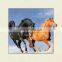 High quality new lenticular picture 5D wood picture frame