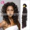 2017 hot sale indian hair deep wave 4*4 closure aliexpress hair for black women