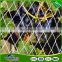 Heavy Duty Reusable Bird Netting Protect Plants and Fruit