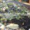 2m x 10m roll of pond netting - 18mm x18mm mesh