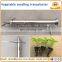 tomatoes transplanter / cabbage transplanter / tobacco transplanter