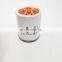 Truck diesel engine parts fuel filter element DQ24057