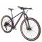 China Warrior 27.5 29er MTB Mountain Bicycles Light Weight Carbon fiber Mountain Bike for Men