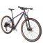 China Warrior 27.5 29er MTB Mountain Bicycles Light Weight Carbon fiber Mountain Bike for Men