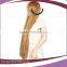 Beauty Long Brown Curly High Quality Syntheti Anime Wigs