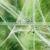 Cotton Polyester Ghost Festival Party Felt Garden Spider Web Yard Halloween Home Decoration