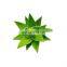 Favorable Price Free Sample Barbaloin 20%,40%,90% Aloe vera leaf extract powder