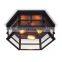 Hot sale covers glass decorative vintage industrial hanging pendant ceiling light for restaurant