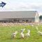 Prefabricated Steel Structure/warehouse/workshop/hall/hangar