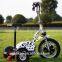 electrico electro electric trike scooter