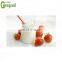 500L per hour ice cream processing plant