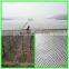 Henan Suntex professional supply black fabric grape hail protection net with UV protection