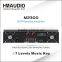 M2300 professional Karaoke mixing Amplifier