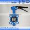 flange type expansion butterfly valve