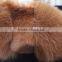 classic big fox and rex rabbit banana fur collar/Factory Direct Wholesale Leather Jacket fox and rex rabbit Fur Collar