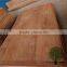 Burckella Veneer Similar With Keruing Wood Veneer Plywood 0.3mm Linyi Manufacture