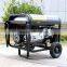 BISON(CHINA) Biogas Generator Prices Pakistan