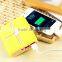 18650 Battery Chip 8000mah Power Bank With Dual Usb Port