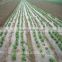 UV treated biodegradable non woven weed control fabric, weed mat
