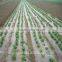 UV treated biodegradable non woven weed control fabric, weed mat