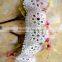 fashion design cotton chemical lace fabric with best price