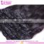 Hot selling Remy 165g 200g 220g yaki human hair extensions clip in