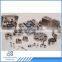 Easy cap/Lid/Cover/Top Lid/Ends Lid/EOE Making Line Die and EOE Ring-Pull die