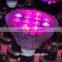 XQD 2016 9W Wterproof Led Grow Light